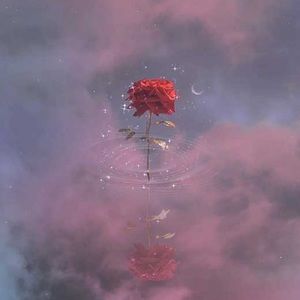 Meet your Posher, Minuet